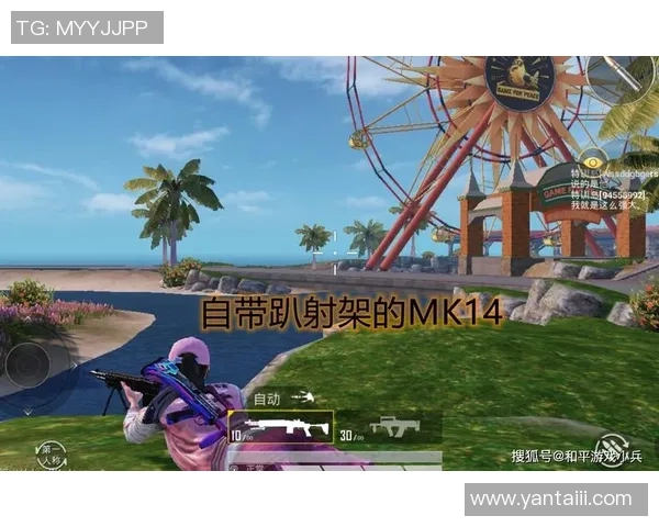 和平精英战术解析：JDG团队如何构建高效的整体压制体系